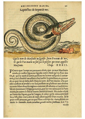 Reproducción/Reproduction 5998390933: L'histoire naturelle des estranges poissons marins A Paris :De l'imprimerie de Regnaud Chaudiere,1551
