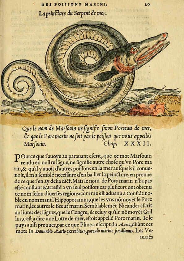 Reproducción/Reproduction 5998390933: L'histoire naturelle des estranges poissons marins A Paris :De l'imprimerie de Regnaud Chaudiere,1551