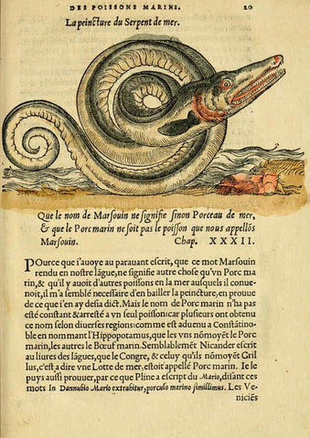Reproducción/Reproduction 5998390933: L'histoire naturelle des estranges poissons marins A Paris :De l'imprimerie de Regnaud Chaudiere,1551