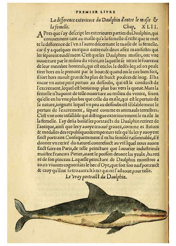 Reproducción/Reproduction 5998939576: L'histoire naturelle des estranges poissons marins A Paris :De l'imprimerie de Regnaud Chaudiere,1551