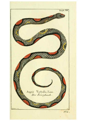 Reproducción/Reproduction 5987757055: Gemeinnüzzige Naturgeschichte des Thierreichs bd. 4 plates Berlin ;bei Gottlieb August Lange,1780-1789