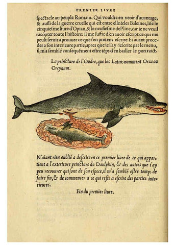 Reproducción/Reproduction 5998392399: L'histoire naturelle des estranges poissons marins A Paris :De l'imprimerie de Regnaud Chaudiere,1551