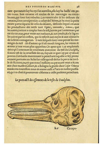 Reproducción/Reproduction 5998392673: L'histoire naturelle des estranges poissons marins A Paris :De l'imprimerie de Regnaud Chaudiere,1551