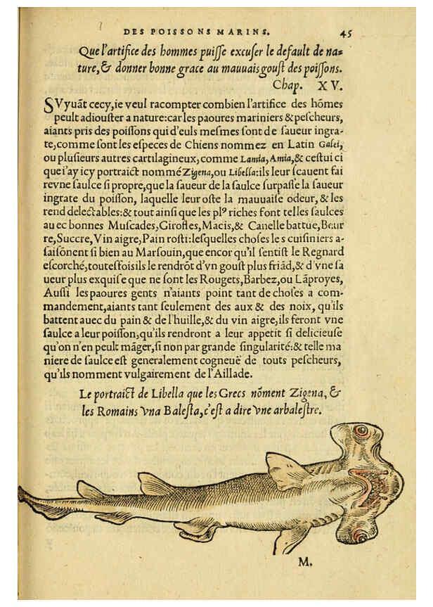 Reproducción/Reproduction 5998393259: L'histoire naturelle des estranges poissons marins A Paris :De l'imprimerie de Regnaud Chaudiere,1551