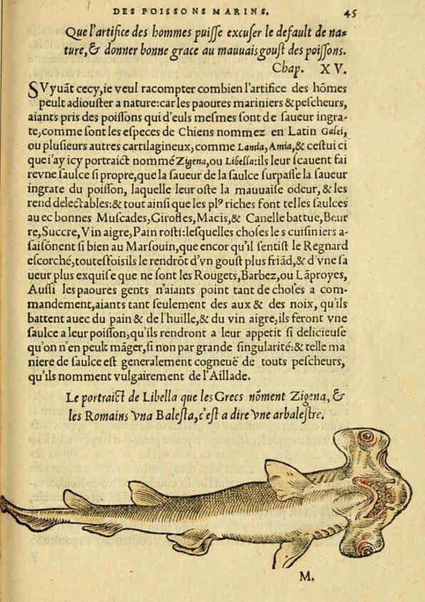 Reproducción/Reproduction 5998393259: L'histoire naturelle des estranges poissons marins A Paris :De l'imprimerie de Regnaud Chaudiere,1551