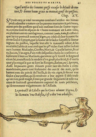Reproducción/Reproduction 5998393259: L'histoire naturelle des estranges poissons marins A Paris :De l'imprimerie de Regnaud Chaudiere,1551