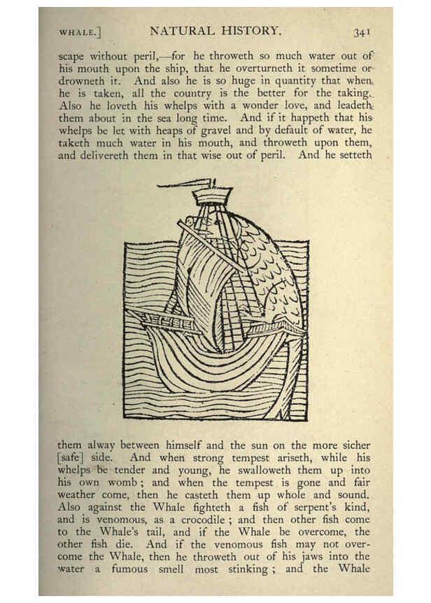 Reproducción/Reproduction 5999179184: Natural history in Shakespeare's time London :E. Stock,1896