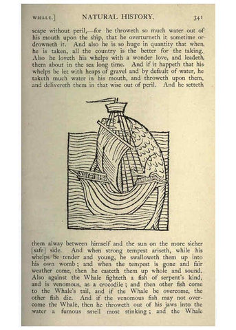 Reproducción/Reproduction 5999179184: Natural history in Shakespeare's time London :E. Stock,1896
