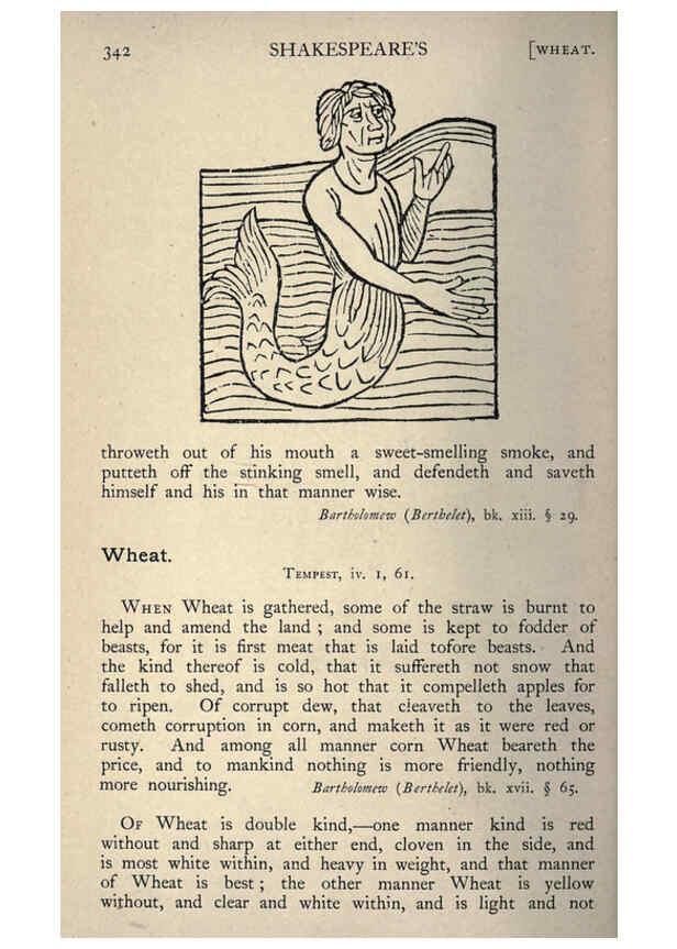 Reproducción/Reproduction 5998634515: Natural history in Shakespeare's time London :E. Stock,1896