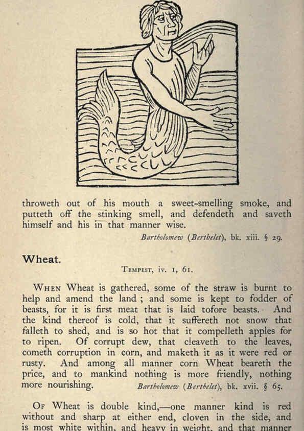 Reproducción/Reproduction 5998634515: Natural history in Shakespeare's time London :E. Stock,1896