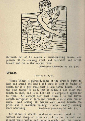 Reproducción/Reproduction 5998634515: Natural history in Shakespeare's time London :E. Stock,1896