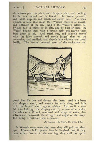 Reproducción/Reproduction 5999178780: Natural history in Shakespeare's time London :E. Stock,1896