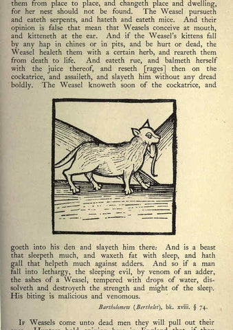 Reproducción/Reproduction 5999178780: Natural history in Shakespeare's time London :E. Stock,1896