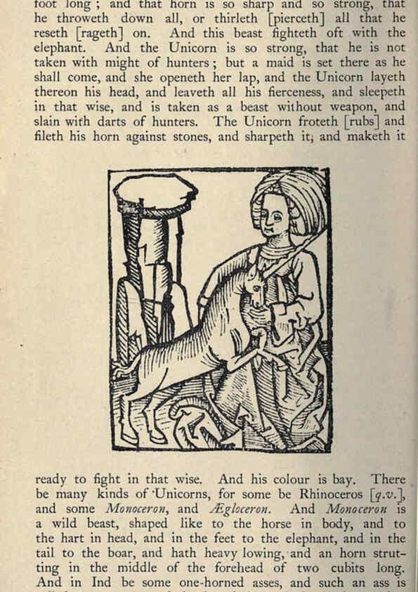 Reproducción/Reproduction 5999178550: Natural history in Shakespeare's time London :E. Stock,1896
