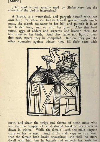 Reproducción/Reproduction 5999177476: Natural history in Shakespeare's time London :E. Stock,1896