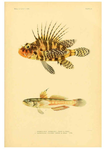 Reproducción/Reproduction 5999000822: The fishes of Samoa Washington,Government print off.,1906