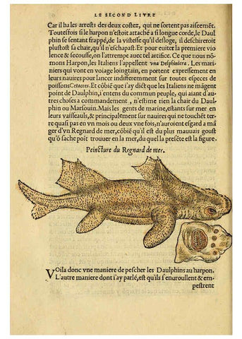Reproducción/Reproduction 5998941562: L'histoire naturelle des estranges poissons marins A Paris :De l'imprimerie de Regnaud Chaudiere,1551