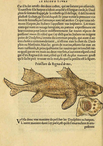 Reproducción/Reproduction 5998941562: L'histoire naturelle des estranges poissons marins A Paris :De l'imprimerie de Regnaud Chaudiere,1551