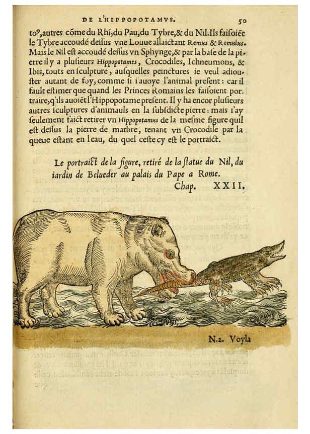 Reproducción/Reproduction 5998941922: L'histoire naturelle des estranges poissons marins A Paris :De l'imprimerie de Regnaud Chaudiere,1551