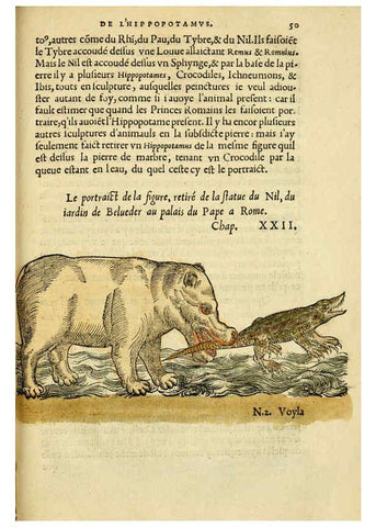 Reproducción/Reproduction 5998941922: L'histoire naturelle des estranges poissons marins A Paris :De l'imprimerie de Regnaud Chaudiere,1551
