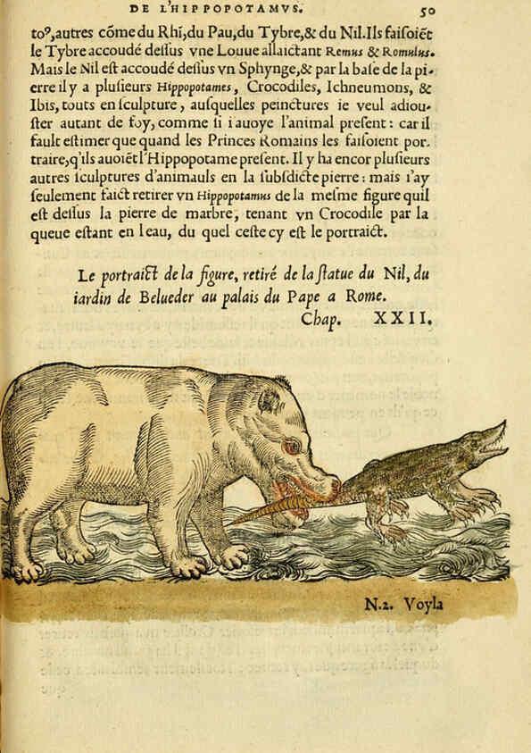 Reproducción/Reproduction 5998941922: L'histoire naturelle des estranges poissons marins A Paris :De l'imprimerie de Regnaud Chaudiere,1551