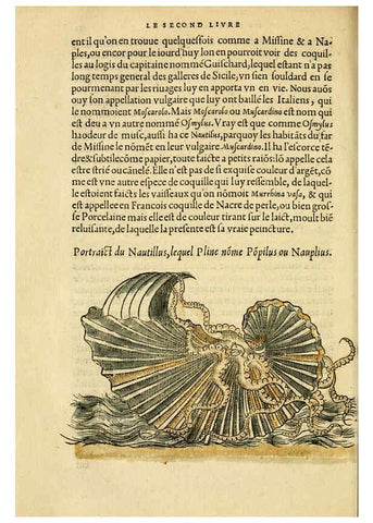 Reproducción/Reproduction 5998942524: L'histoire naturelle des estranges poissons marins A Paris :De l'imprimerie de Regnaud Chaudiere,1551