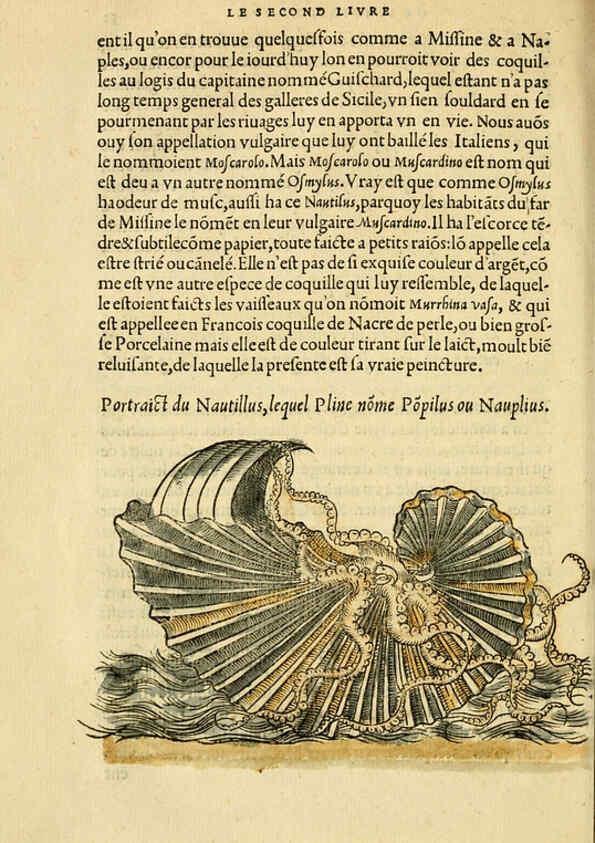 Reproducción/Reproduction 5998942524: L'histoire naturelle des estranges poissons marins A Paris :De l'imprimerie de Regnaud Chaudiere,1551