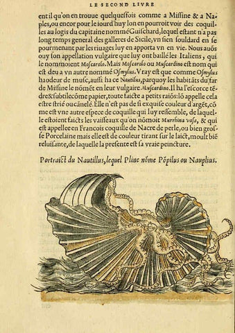 Reproducción/Reproduction 5998942524: L'histoire naturelle des estranges poissons marins A Paris :De l'imprimerie de Regnaud Chaudiere,1551