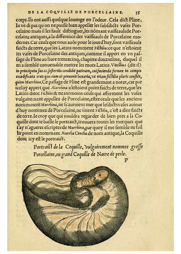 Reproducción/Reproduction 5998395091: L'histoire naturelle des estranges poissons marins A Paris :De l'imprimerie de Regnaud Chaudiere,1551