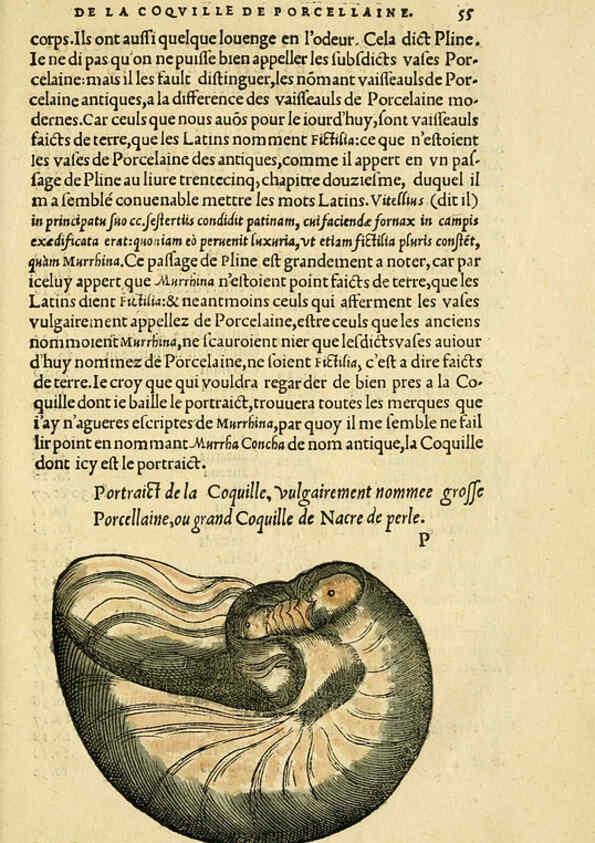 Reproducción/Reproduction 5998395091: L'histoire naturelle des estranges poissons marins A Paris :De l'imprimerie de Regnaud Chaudiere,1551