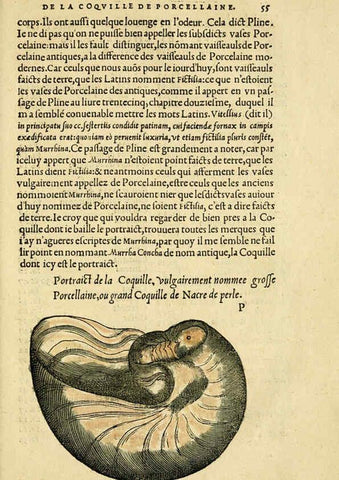 Reproducción/Reproduction 5998395091: L'histoire naturelle des estranges poissons marins A Paris :De l'imprimerie de Regnaud Chaudiere,1551