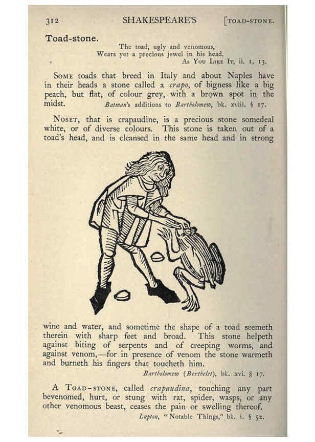 Reproducción/Reproduction 5999177992: Natural history in Shakespeare's time London :E. Stock,1896