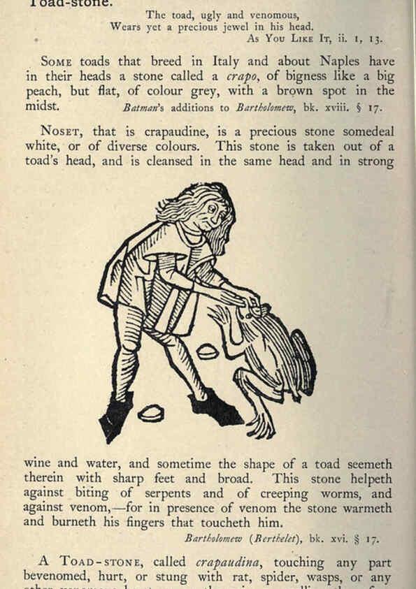 Reproducción/Reproduction 5999177992: Natural history in Shakespeare's time London :E. Stock,1896