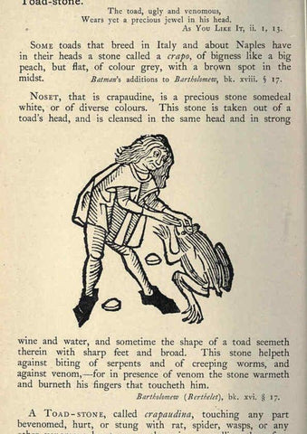 Reproducción/Reproduction 5999177992: Natural history in Shakespeare's time London :E. Stock,1896