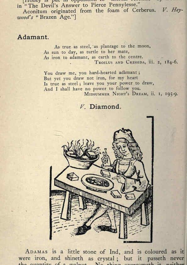 Reproducción/Reproduction 5999135172: Natural history in Shakespeare's time London :E. Stock,1896