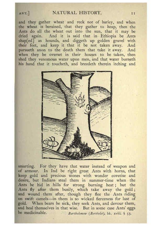 Reproducción/Reproduction 5998595247: Natural history in Shakespeare's time London :E. Stock,1896