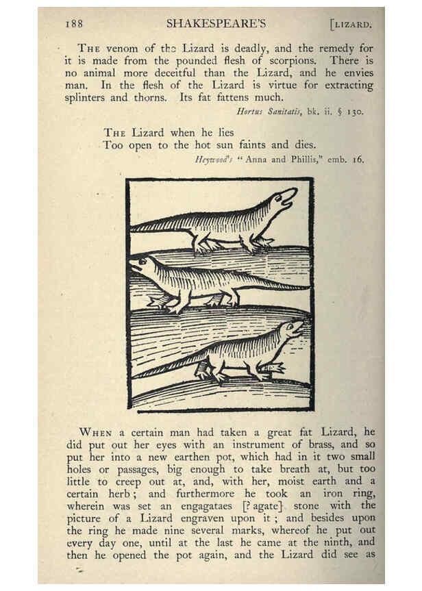 Reproducción/Reproduction 5999158504: Natural history in Shakespeare's time London :E. Stock,1896