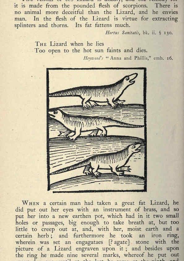 Reproducción/Reproduction 5999158504: Natural history in Shakespeare's time London :E. Stock,1896