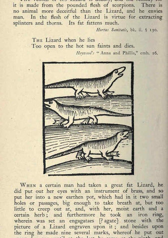 Reproducción/Reproduction 5999158504: Natural history in Shakespeare's time London :E. Stock,1896