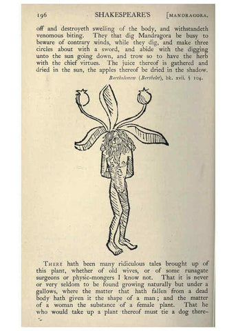 Reproducción/Reproduction 5998613351: Natural history in Shakespeare's time London :E. Stock,1896