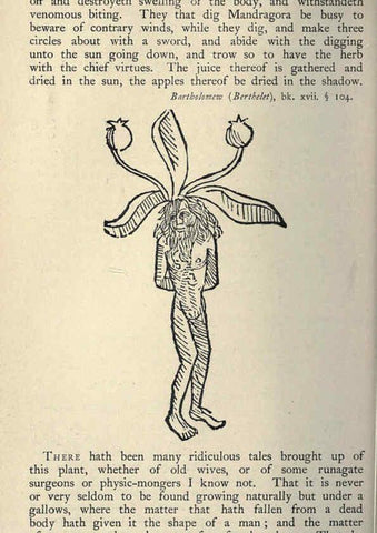 Reproducción/Reproduction 5998613351: Natural history in Shakespeare's time London :E. Stock,1896