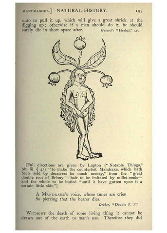 Reproducción/Reproduction 5998624183: Natural history in Shakespeare's time London :E. Stock,1896