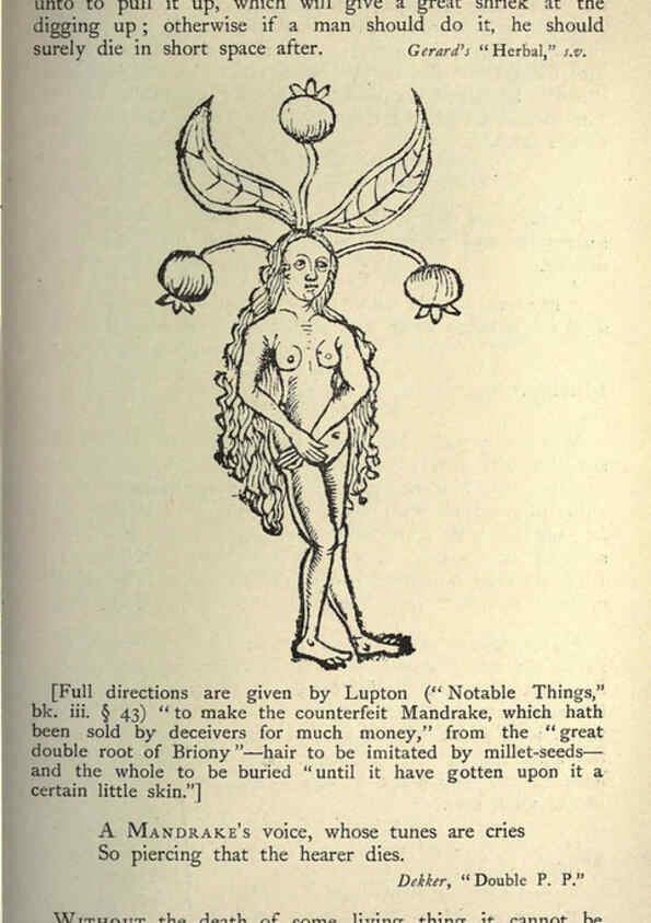 Reproducción/Reproduction 5998624183: Natural history in Shakespeare's time London :E. Stock,1896