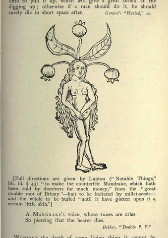 Reproducción/Reproduction 5998624183: Natural history in Shakespeare's time London :E. Stock,1896