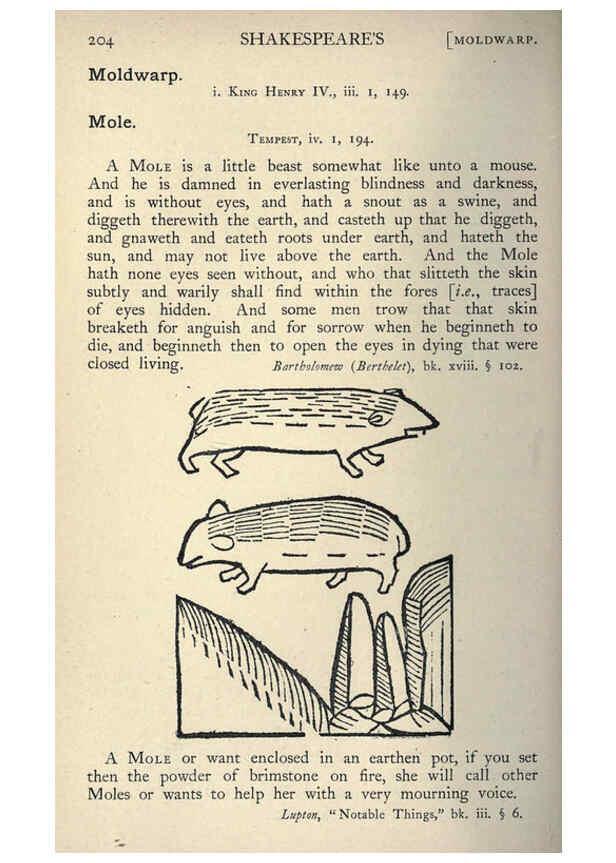 Reproducción/Reproduction 5998624489: Natural history in Shakespeare's time London :E. Stock,1896