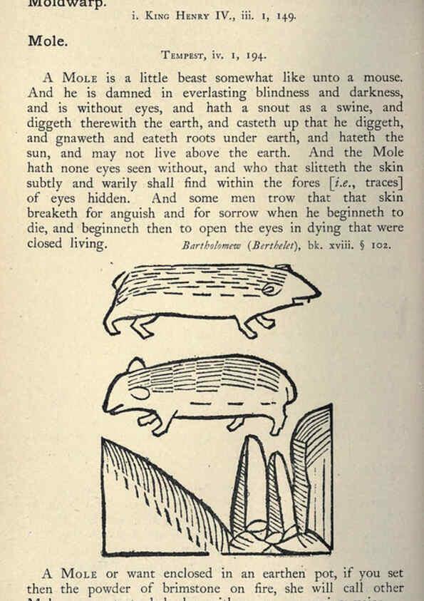 Reproducción/Reproduction 5998624489: Natural history in Shakespeare's time London :E. Stock,1896