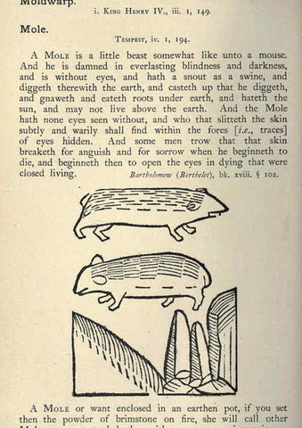 Reproducción/Reproduction 5998624489: Natural history in Shakespeare's time London :E. Stock,1896