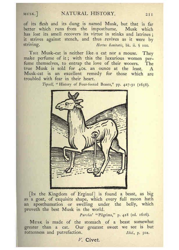 Reproducción/Reproduction 5998626167: Natural history in Shakespeare's time London :E. Stock,1896