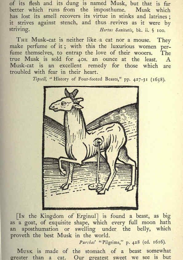 Reproducción/Reproduction 5998626167: Natural history in Shakespeare's time London :E. Stock,1896