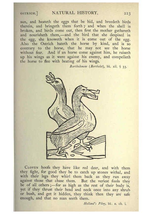 Reproducción/Reproduction 5999173454: Natural history in Shakespeare's time London :E. Stock,1896